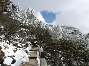 Kiệu Tử Tuyết Sơn