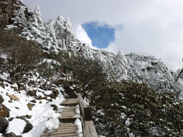 Kiệu Tử Tuyết Sơn