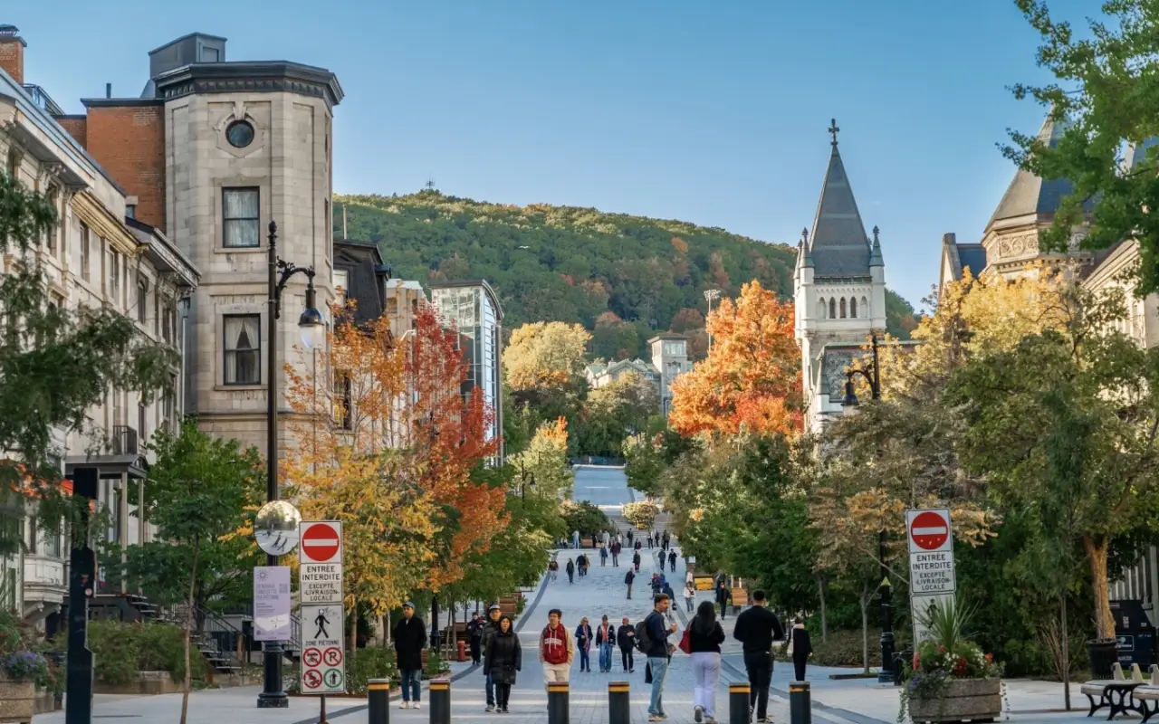 Hướng Dẫn Chi Tiết Cách Xin Visa Canada Cho Người Việt Nam Mới Nhất Thumbnail